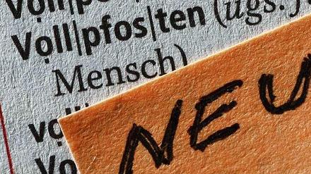 "Vollpfosten" wurde 2013 neu in den Duden aufgenommen. Wegen bloß eines Fehlers ist der Begriff noch nicht zu gebrauchen.