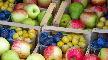 Gesund essen und dafür etwas von der Krankenkasse zurückbekommen: Das plant die Versicherungsgruppe Generali.
