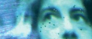 Virtuos. Susan Sontag in Nancy Kates biografischer Dokumentation.