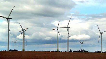 Windräder in Brandenburg