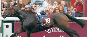 Endspurtstark. Die Stute Treve holt sich auf den letzten 400 Metern den Sieg. Foto: dpa