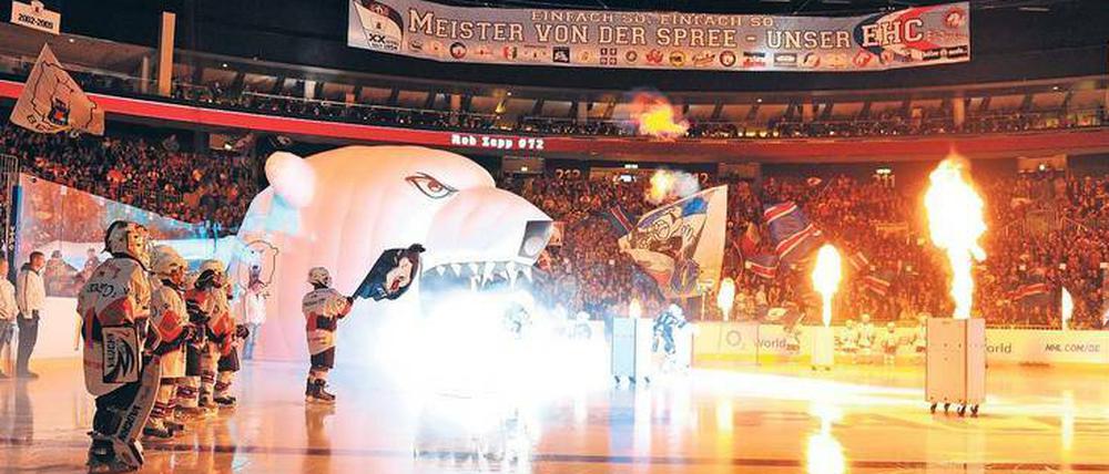 Saisonstart. Am Freitag spielen die Eisbären in Ingolstadt, am Sonntag empfangen sie Iserlohn im ersten Heimspiel.