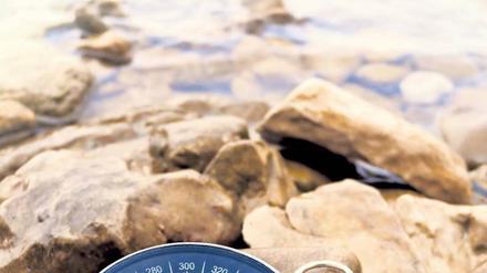 Richtungsweisend. Geht man den richtigen Weg im Beruf? Gradmesser dafür ist man selbst – immer wieder. Foto: fotolia