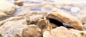 Richtungsweisend. Geht man den richtigen Weg im Beruf? Gradmesser dafür ist man selbst – immer wieder. Foto: fotolia