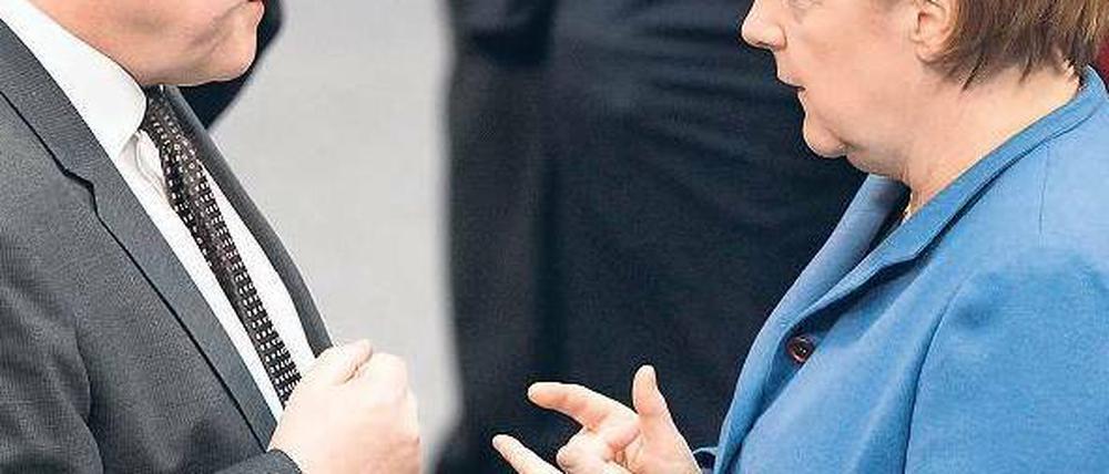 Wer weiß was? Kanzlerin Merkel und SPD- Fraktionschef Steinmeier. Foto: Reuters