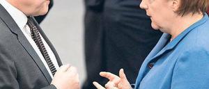 Wer weiß was? Kanzlerin Merkel und SPD- Fraktionschef Steinmeier. Foto: Reuters
