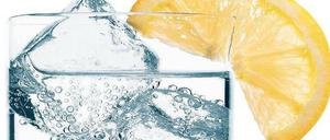 Cocktail-Kult. Einige Berliner Barkeeper schlagen ihre Würfel inzwischen per Hand, andere schwören auf japanische Maschinen.