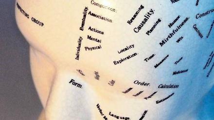 Expedition in den Verstand. Mancherorts arbeiten Biologen, Psychologen und Philosophen in der Hirnforschung zusammen.