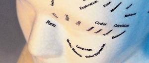 Expedition in den Verstand. Mancherorts arbeiten Biologen, Psychologen und Philosophen in der Hirnforschung zusammen.