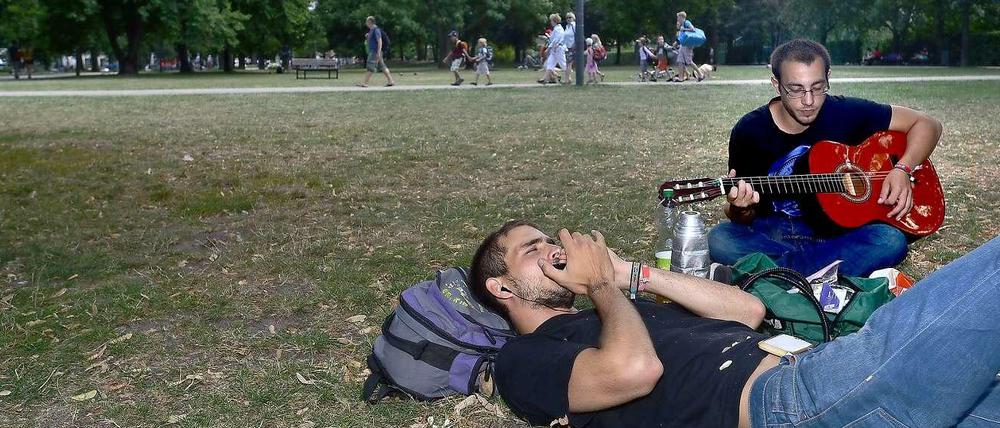 Trockenrasen. Trotz ein paar Regengüssen ist das Grün ausgedörrt im Monbijoupark. Das Grillen wird dem Bezirksamt nun zu heiß.