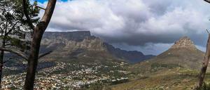 Ein Eichhörnchen in Amerika hat die Pest