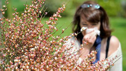 Zum Heulen: Vor allem Mehrfach-Allergiker litten in diesem Frühjahr unter Triefnase und verquollenen Augen, weil viele problematische Pflanzen gleichzeitig blühten.