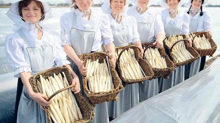 Weißes Gold. Auch wenn der endlose Winter den Spargel vom rechtzeitigen Sprießen abhielt – für ein paar dekorativ präsentierte Körbe mit dem Edelgemüse, wie hier beim Saisonstart in Schäpe, reicht es allemal. 