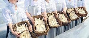 Weißes Gold. Auch wenn der endlose Winter den Spargel vom rechtzeitigen Sprießen abhielt – für ein paar dekorativ präsentierte Körbe mit dem Edelgemüse, wie hier beim Saisonstart in Schäpe, reicht es allemal. 