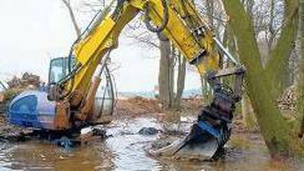 Erste Hilfe. Ein Bagger entfernt braunen Schlamm aus einem Spreezufluss. Foto: dpa