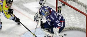 Puck im Tor. Krefelds Methot überwindet Torhüter Zepp (rechts) von den Eisbären.