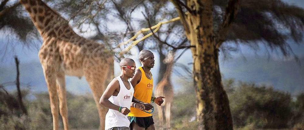 Henry Wanyoike (links) mit seinem Begleitläufer und Freund Joseph Kibunya beim täglichen Lauftraining unter etwas anderen Trainingsbedingungen in Kenia.