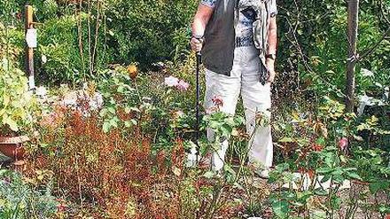 Bedrohte Idylle. Wie lange ein Teil der Pächter in der Kolonie Oeynhausen noch die Blumenpracht genießen kann, ist fraglich. Ein Investor plant dort 700 Wohnungen.
