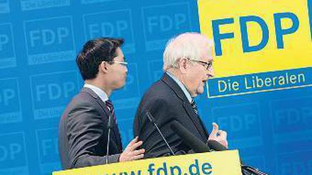 Gemeinsam, aber mit neuen Themen wollen Brüderle und Rösler 2013 punkten.