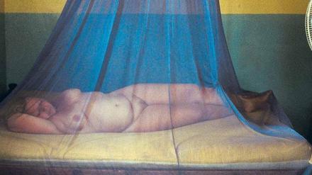 Drei Frauen. „Paradies: Liebe“, Teil 1 von Ulrich Seidls Filmtrilogie, startet am Donnerstag in sechs Berliner Kinos. Darin geht es um die Mittfünfzigerin Teresa (Margarete Tiesel, Foto), eine Sextouristin in Kenia. „Paradies: Glaube“ über Teresas erzkatholische Schwester kommt am 21. März ins Kino. Teil 3, „Paradies: Hoffnung“ über Teresas dicke Tochter im Diätcamp wird auf der Berlinale uraufgeführt. Filmstart am 16. Mai. Die Galerie C/O Berlin zeigt vom 19. 1. bis 17.3. Standfotos aus der Trilogie über Sexualität, Spiritualität und Körperlichkeit. Dazu erscheint bei Hatje Cantz ein Buch mit Texten u.a. von Elfriede Jelinek, Marina Abramovic, Helene Hegemann.