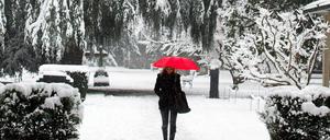 Wie Puder hat sich eine Schneedecke auf die Städte und Landschaften Europas gelegt.