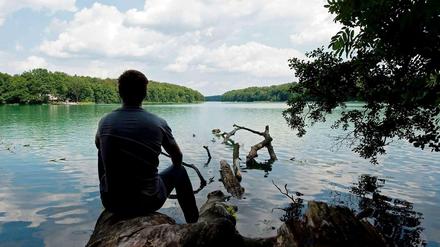 Ein Mann sitzt nahe dem brandenburgischen Wandlitz am Ufer des Liepnitzsees auf einem Baumstamm. Noch ist am Horizont kein Windrad zu sehen.