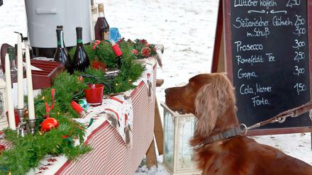 Nur für Zweibeiner? . . . 