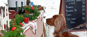 Nur für Zweibeiner? . . . 