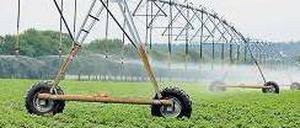 Wasserspender. Künstliche Beregnung hilft Pflanzen über die Trockenheit in den Sommermonaten. 