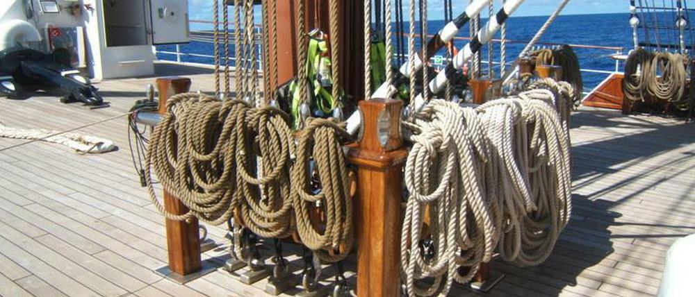 Große Rah-Segler haben ihren ganz besonderen Reiz, vor allem bei einer Trans-Atlantik-Fahrt. Entsprechend groß sind auch die Fan-Gemeinden der Schiffe.