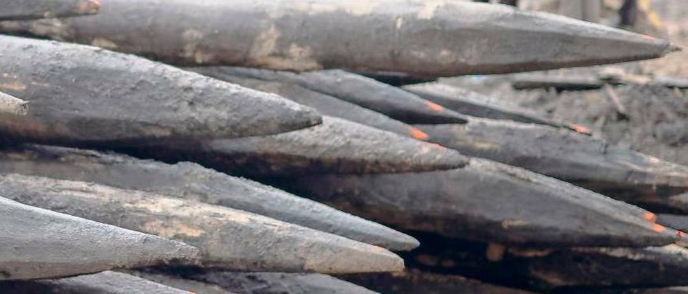 Aus historischem Boden. Auf der Baustelle am Schlossplatz liegen die bereits aus dem Boden gezogenen Eichenpfähle. Das Holz ist rund 300 Jahre alt und könnte nach einer Spezialbehandlung zu Möbeln aufbereitet werden.