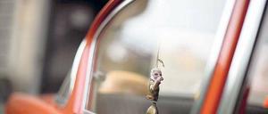 Deutsch-Amerikanische-Freundschaft. Die Milliardenverluste von Opel – im Bild ein „Rekord“ von 1950 samt Elvis-Figur – strapazieren seit Jahren die Geduld der Konzernmutter General Motors. Die IG Metall wirft ihrerseits der US-Zentrale Missmanagement vor. Foto: AFP