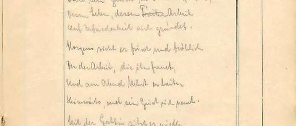 In den Dokumenten offenbart sich der schwülstige und extreme Zug des späteren Propagandaprofis Joseph Goebbels - jetzt sollen sie versteigert werden.