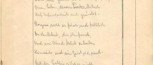 In den Dokumenten offenbart sich der schwülstige und extreme Zug des späteren Propagandaprofis Joseph Goebbels - jetzt sollen sie versteigert werden.