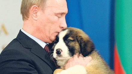 Vorbild Russland. Für Wladimir Putin sind süße Hundies sogar Chefsache. Foto: dpa