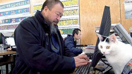 The twitter-star Ai Weiwei sits in front of his computer with a cat, as seen in the film "Ai Weiwei: Never Sorry.".