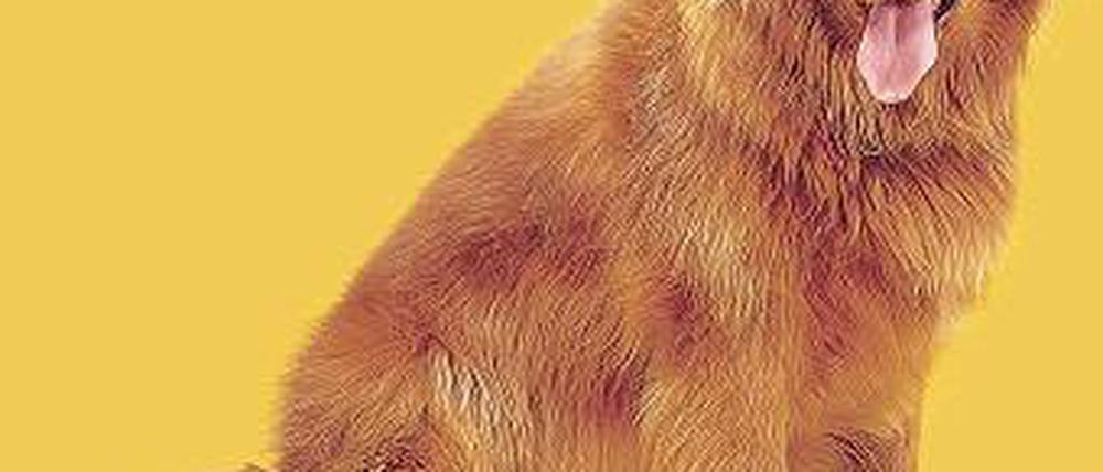 Dicker Hund. Hat er die Pläne für den Flughafen gefressen? Sieht fast so aus. Foto: dpa