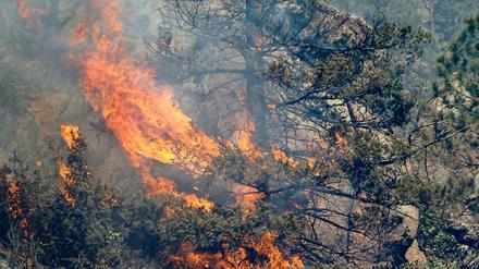 Auch dieser Campingplatz am Fuße des Pikes Peak wird von den Flammen bedroht.