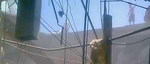 In der kanadischen Provinz Ontario ist am Samstag das Dach eines Einkaufszentrums kollabiert.