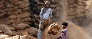 Was lässt sich gegen die Nahrungsmittelknappheit in weiten Teilen der Welt tun?