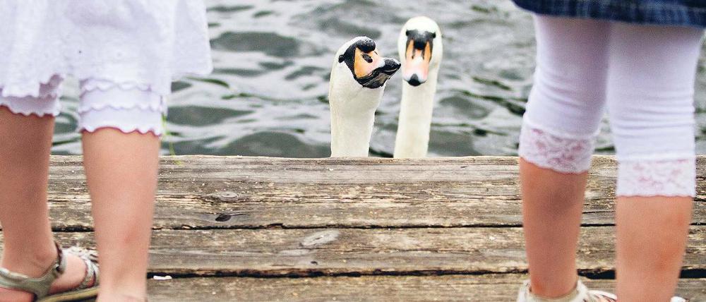 Schwäne füttern - ein klassisches Sommervergnügen. Kindern in Ferienstimmung bietet Berlin im Sommer aber viel mehr.