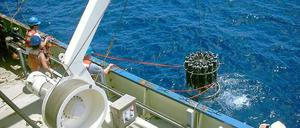 Als Wissenschaftler Proben vom Untergrund des Pazifik holten, entdeckten sie dort extrem langsames Leben.