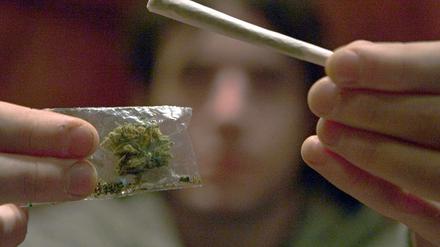 Rückläufige Sucht: Jungedliche haben 2011 weniger Cannabis, Alkohol und Tabak konsumiert. 