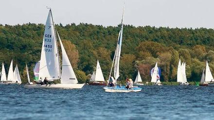 Der Wannsee ist voll. Am Wochenende sind dort hunderte Segler unterwegs. Für die gelten feste Vorfahrtsregeln. Und für Berliner ist noch immer ein Seglerschein vorgeschrieben. Foto: dapd
