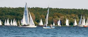 Der Wannsee ist voll. Am Wochenende sind dort hunderte Segler unterwegs. Für die gelten feste Vorfahrtsregeln. Und für Berliner ist noch immer ein Seglerschein vorgeschrieben. Foto: dapd