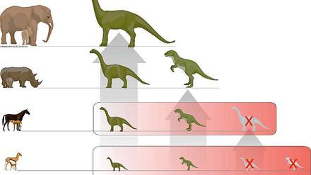 Konkurrenz. Kleine Dinos konnten sich gegen die Jungtiere anderer Arten nicht durchsetzen. Doch ihre Größe wurde den Sauriern vor 65 Millionen Jahren zum Verhängnis.