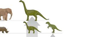 Konkurrenz. Kleine Dinos konnten sich gegen die Jungtiere anderer Arten nicht durchsetzen. Doch ihre Größe wurde den Sauriern vor 65 Millionen Jahren zum Verhängnis.