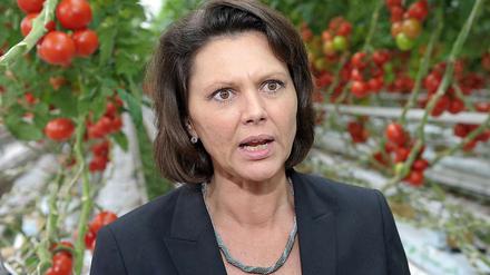 Verbraucherministerin Aigner lässt sich demonstrativ zwischen bayerischen Tomaten ablichten. 