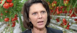 Verbraucherministerin Aigner lässt sich demonstrativ zwischen bayerischen Tomaten ablichten. 