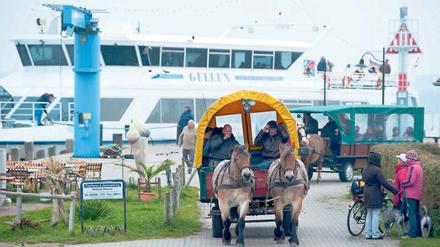 Landausflug mit zwei PS. Schließlich ist Hiddensee auch autofrei.Foto: picture-alliance